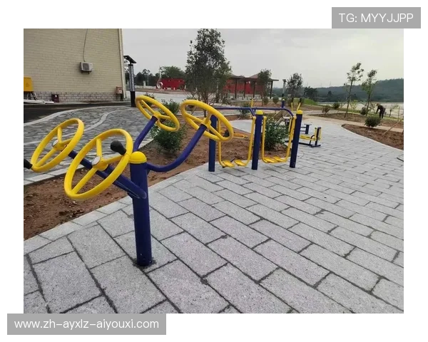 陕西健身器材：陕西省本地健身器材生产厂家与销售渠道