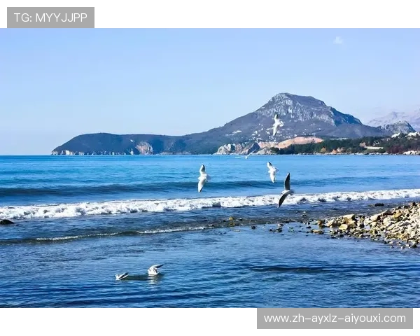 黄海之滨的冰雪奇缘：盐城冬泳者口述实录